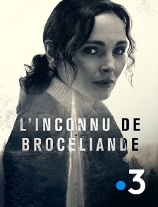 France 3 - L'inconnu de Brocéliande