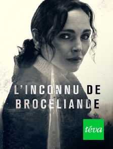 Téva - L'inconnu de Brocéliande