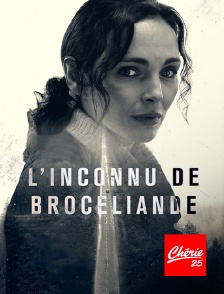 L'inconnu de Brocéliande