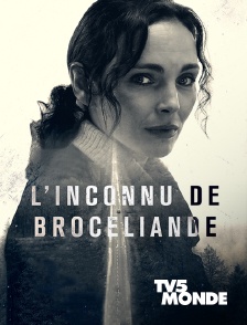 TV5MONDE - L'inconnu de Brocéliande