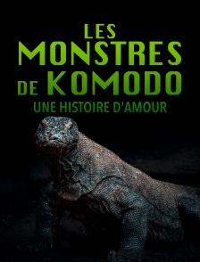 Les monstres de Komodo: une histoire d'amour