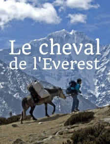 Le cheval de l'Everest