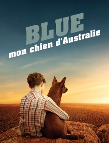 Blue, mon chien d'Australie