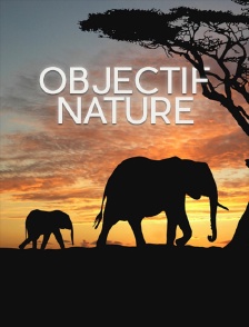 Objectif nature