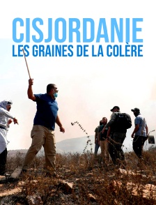 Cisjordanie, les graines de la colère