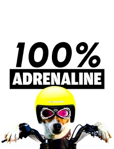 100% Adrenaline 2014