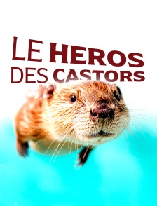 Le héros des castors