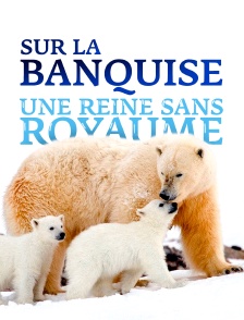 Sur la banquise, une reine sans royaume