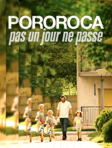 Pororoca, pas un jour ne passe
