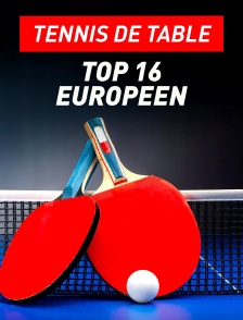 Tennis de table : Top 16 européen
