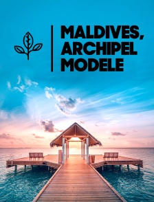 Les Maldives, archipel modèle