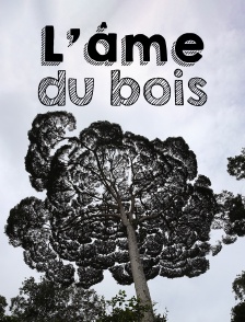 L'Âme du bois