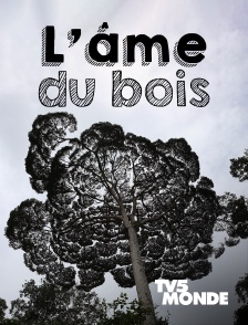 TV5MONDE - L'Âme du bois