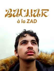Bachar à la ZAD