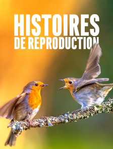Histoires de reproduction