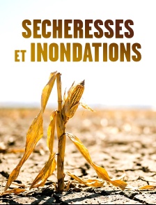 Sécheresses et inondations, chercheurs en action