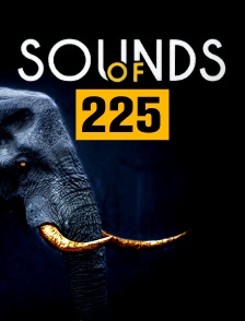Sounds of 225