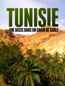 Tunisie, une oasis dans un grain de sable