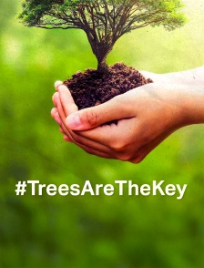 #TreesAreTheKey