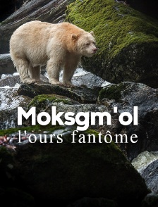 Moksgm'ol, l'ours fantôme