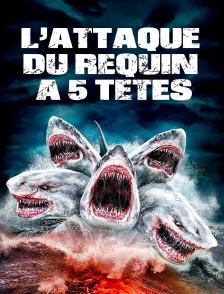 L'attaque du requin à cinq têtes