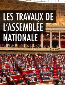 Les travaux de l'Assemblée nationale