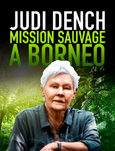Judi Dench : mission sauvage à Borneo