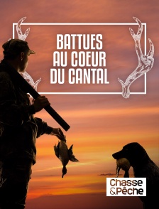 Chasse et pêche - Battues au coeur du Cantal