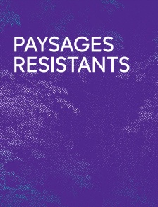 Paysages résistants