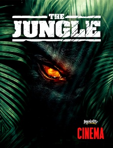 Molotov Channels Cinéma - The jungle