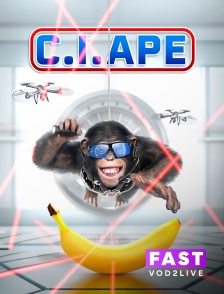 Molotov Channels TEST FAST - C.I.Ape