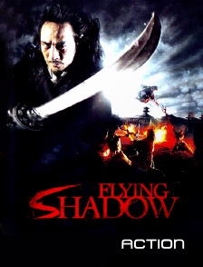 Flying Shadow