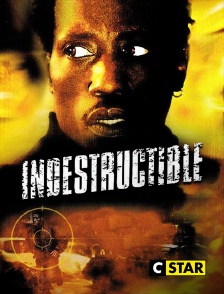 Indestructible