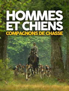 Hommes et chiens, compagnons de chasse