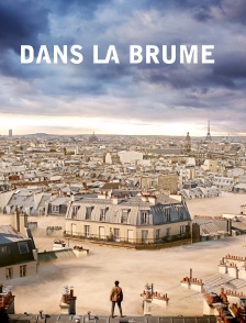 Dans la brume