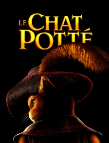 Le chat Potté