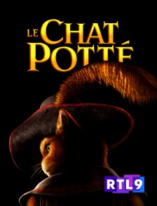 RTL 9 - Le chat Potté