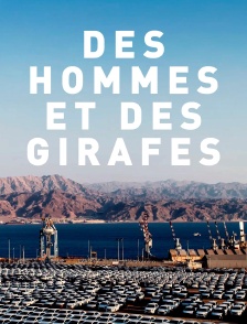 Des hommes et des girafes