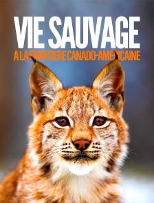 Vie sauvage à la frontière canado-américaine