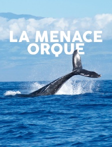 La menace orque