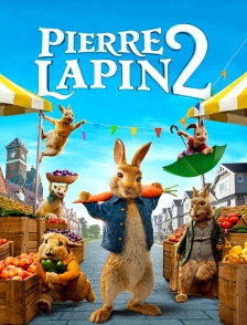 Pierre Lapin 2