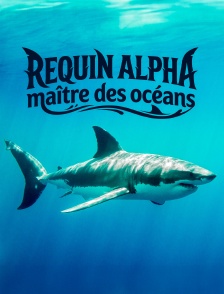 Requin Alpha, maître des océans