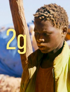 2G