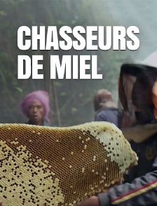 Chasseurs de miel