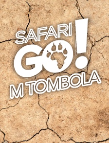 TEASER - Safari Go - M Tombola