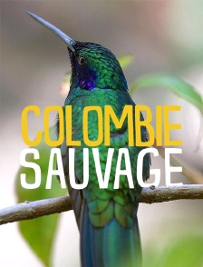 Colombie sauvage