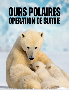 Le grand voyage des ours blancs