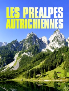 Au coeur des Préalpes autrichiennes : Le massif Mort