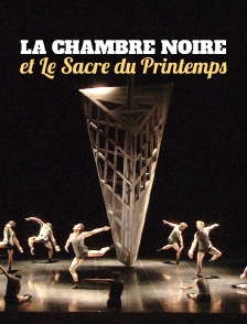 La Chambre noire et Le Sacre du Printemps