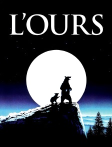 L'ours